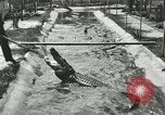 Standbild Alligator Farm Washington DC USA, 1916, aus Sekunde 27 historischem Filmmaterial Videoclip 65675021538