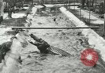 Standbild Alligator Farm Washington DC USA, 1916, aus Sekunde 28 historischem Filmmaterial Videoclip 65675021538