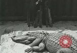 Standbild Alligator Farm Washington DC USA, 1916, aus Sekunde 32 historischem Filmmaterial Videoclip 65675021538