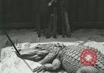 Standbild Alligator Farm Washington DC USA, 1916, aus Sekunde 33 historischem Filmmaterial Videoclip 65675021538