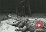 Standbild Alligator Farm Washington DC USA, 1916, aus Sekunde 34 historischem Filmmaterial Videoclip 65675021538