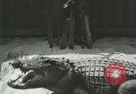 Standbild Alligator Farm Washington DC USA, 1916, aus Sekunde 40 historischem Filmmaterial Videoclip 65675021538