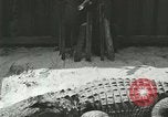 Standbild Alligator Farm Washington DC USA, 1916, aus Sekunde 41 historischem Filmmaterial Videoclip 65675021538