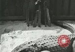 Standbild Alligator Farm Washington DC USA, 1916, aus Sekunde 44 historischem Filmmaterial Videoclip 65675021538