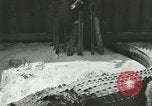 Standbild Alligator Farm Washington DC USA, 1916, aus Sekunde 45 historischem Filmmaterial Videoclip 65675021538