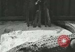 Standbild Alligator Farm Washington DC USA, 1916, aus Sekunde 46 historischem Filmmaterial Videoclip 65675021538