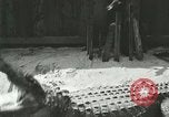 Standbild Alligator Farm Washington DC USA, 1916, aus Sekunde 48 historischem Filmmaterial Videoclip 65675021538