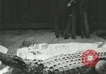 Standbild Alligator Farm Washington DC USA, 1916, aus Sekunde 49 historischem Filmmaterial Videoclip 65675021538