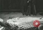 Standbild Alligator Farm Washington DC USA, 1916, aus Sekunde 50 historischem Filmmaterial Videoclip 65675021538