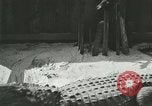 Standbild Alligator Farm Washington DC USA, 1916, aus Sekunde 51 historischem Filmmaterial Videoclip 65675021538