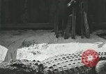 Standbild Alligator Farm Washington DC USA, 1916, aus Sekunde 52 historischem Filmmaterial Videoclip 65675021538