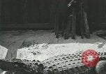 Standbild Alligator Farm Washington DC USA, 1916, aus Sekunde 53 historischem Filmmaterial Videoclip 65675021538