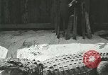 Standbild Alligator Farm Washington DC USA, 1916, aus Sekunde 54 historischem Filmmaterial Videoclip 65675021538