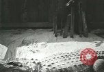 Standbild Alligator Farm Washington DC USA, 1916, aus Sekunde 55 historischem Filmmaterial Videoclip 65675021538