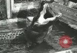 Image Alligator Farm Washington DC USA, 1916, de la seconde 6 séquences d'archives historiques vidéo 65675021539
