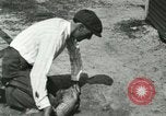 Image Alligator Farm Washington DC USA, 1916, de la seconde 28 séquences d'archives historiques vidéo 65675021539