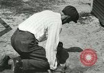 Image Alligator Farm Washington DC USA, 1916, de la seconde 37 séquences d'archives historiques vidéo 65675021539