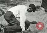 Image Alligator Farm Washington DC USA, 1916, de la seconde 38 séquences d'archives historiques vidéo 65675021539