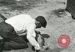 Image Alligator Farm Washington DC USA, 1916, de la seconde 40 séquences d'archives historiques vidéo 65675021539