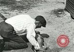 Image Alligator Farm Washington DC USA, 1916, de la seconde 41 séquences d'archives historiques vidéo 65675021539