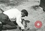 Image Alligator Farm Washington DC USA, 1916, de la seconde 42 séquences d'archives historiques vidéo 65675021539