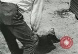 Image Alligator Farm Washington DC USA, 1916, de la seconde 50 séquences d'archives historiques vidéo 65675021539