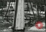 Image Alligator Farm Washington DC USA, 1916, de la seconde 26 séquences d'archives historiques vidéo 65675021540