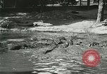 Image Alligator Farm Washington DC USA, 1916, de la seconde 28 séquences d'archives historiques vidéo 65675021540