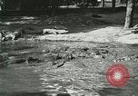 Image Alligator Farm Washington DC USA, 1916, de la seconde 30 séquences d'archives historiques vidéo 65675021540