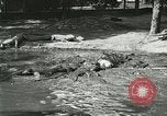 Image Alligator Farm Washington DC USA, 1916, de la seconde 31 séquences d'archives historiques vidéo 65675021540