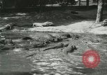 Image Alligator Farm Washington DC USA, 1916, de la seconde 32 séquences d'archives historiques vidéo 65675021540
