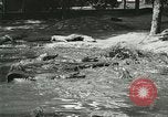 Image Alligator Farm Washington DC USA, 1916, de la seconde 35 séquences d'archives historiques vidéo 65675021540