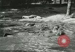 Image Alligator Farm Washington DC USA, 1916, de la seconde 36 séquences d'archives historiques vidéo 65675021540
