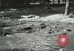 Image Alligator Farm Washington DC USA, 1916, de la seconde 37 séquences d'archives historiques vidéo 65675021540