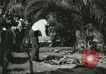 Image Alligator Farm Washington DC USA, 1921, de la seconde 4 séquences d'archives historiques vidéo 65675021541