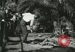 Image Alligator Farm Washington DC USA, 1921, de la seconde 5 séquences d'archives historiques vidéo 65675021541