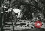 Image Alligator Farm Washington DC USA, 1921, de la seconde 6 séquences d'archives historiques vidéo 65675021541