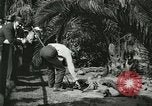 Image Alligator Farm Washington DC USA, 1921, de la seconde 7 séquences d'archives historiques vidéo 65675021541