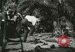 Image Alligator Farm Washington DC USA, 1921, de la seconde 9 séquences d'archives historiques vidéo 65675021541