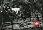 Image Alligator Farm Washington DC USA, 1921, de la seconde 12 séquences d'archives historiques vidéo 65675021541