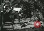 Image Alligator Farm Washington DC USA, 1921, de la seconde 13 séquences d'archives historiques vidéo 65675021541