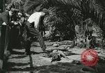 Image Alligator Farm Washington DC USA, 1921, de la seconde 14 séquences d'archives historiques vidéo 65675021541