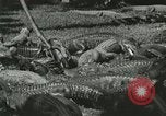 Image Alligator Farm Washington DC USA, 1921, de la seconde 31 séquences d'archives historiques vidéo 65675021541