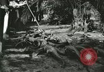 Image Alligator Farm Washington DC USA, 1921, de la seconde 41 séquences d'archives historiques vidéo 65675021541