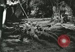 Image Alligator Farm Washington DC USA, 1921, de la seconde 42 séquences d'archives historiques vidéo 65675021541