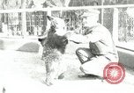 Image les animaux sauvages Washington DC USA, 1921, de la seconde 1 séquences d'archives historiques vidéo 65675021542
