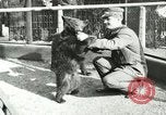 Image les animaux sauvages Washington DC USA, 1921, de la seconde 3 séquences d'archives historiques vidéo 65675021542