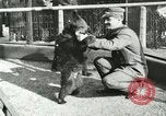 Image les animaux sauvages Washington DC USA, 1921, de la seconde 4 séquences d'archives historiques vidéo 65675021542