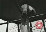 Image les animaux sauvages Washington DC USA, 1921, de la seconde 6 séquences d'archives historiques vidéo 65675021542