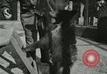Image les animaux sauvages Washington DC USA, 1921, de la seconde 19 séquences d'archives historiques vidéo 65675021542
